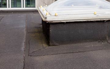 disadvantages of Stocklinch flat roofs