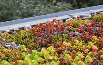 the cost of Stocklinch green roof installation
