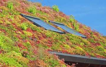Stocklinch living roof systems
